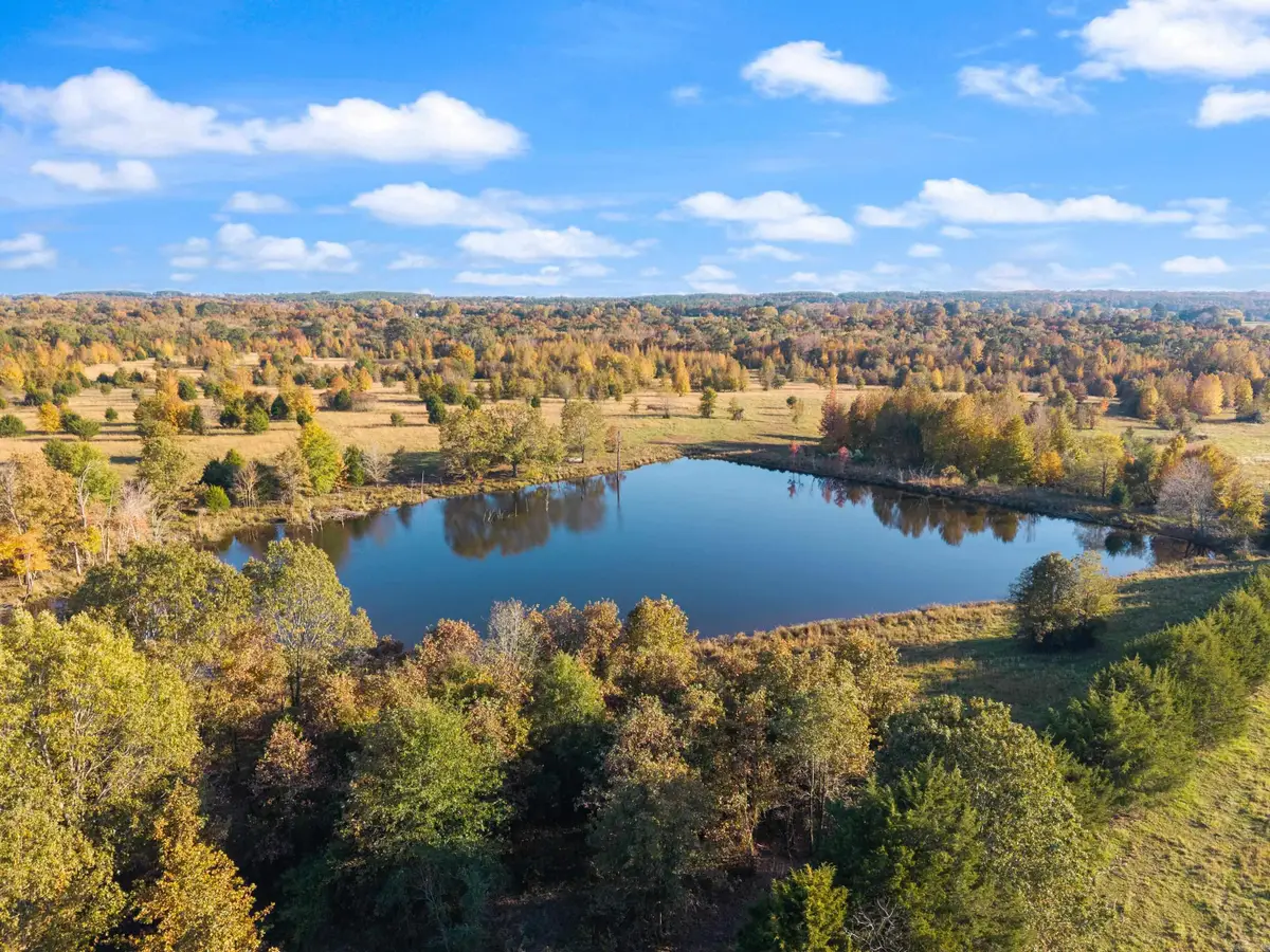 172 Blackfork Rd, Greenbrier, AR 72058 - #1