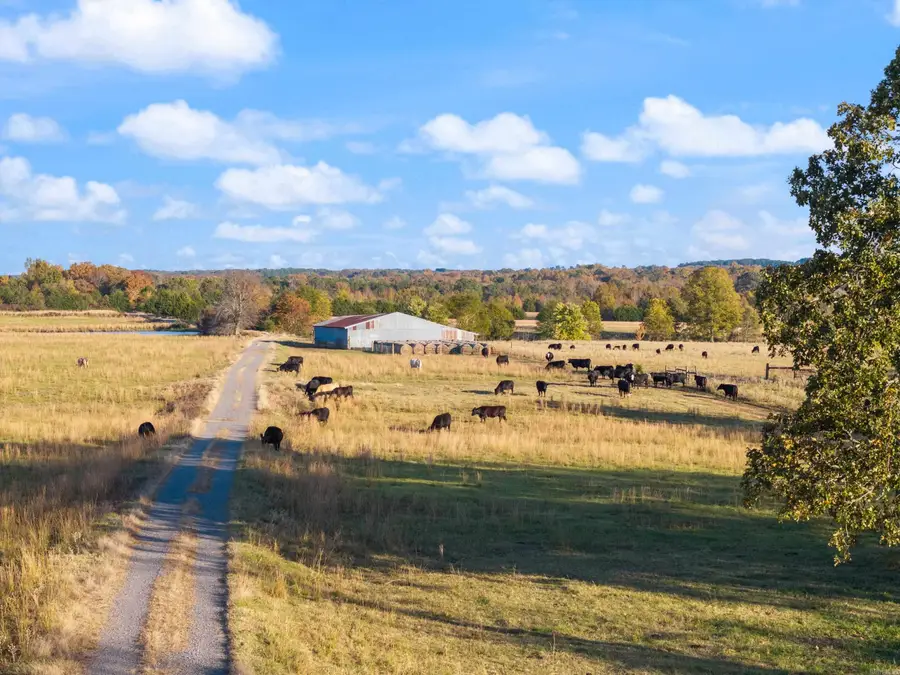 172 Blackfork Rd, Greenbrier, AR 72058 - #3