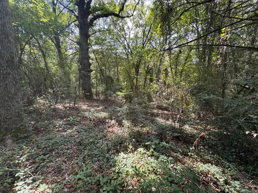 000 N Montgomery Street, Clarksville, AR 72830 - #2