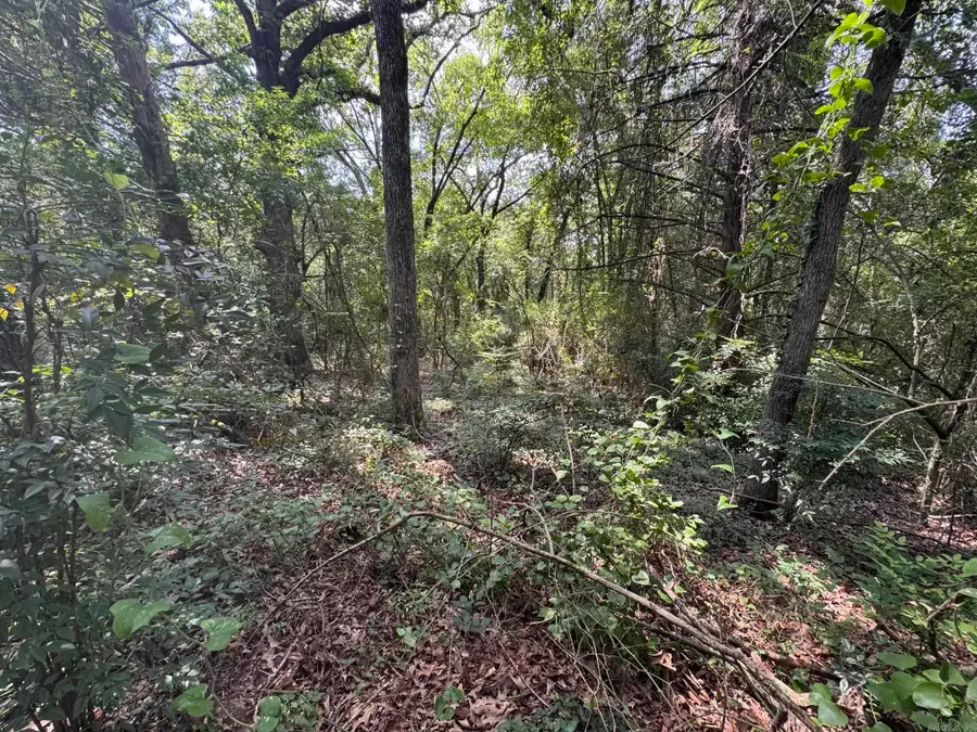 000 N Montgomery Street, Clarksville, AR 72830 - #3