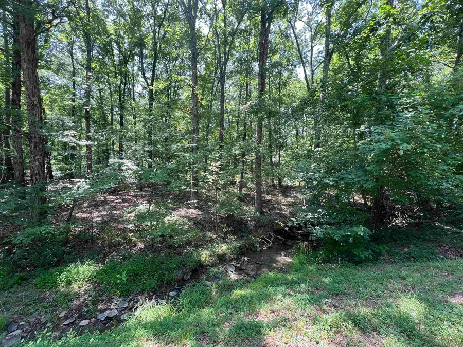 00 Castle Arms Place, Fairfield Bay, AR 72088 - #3