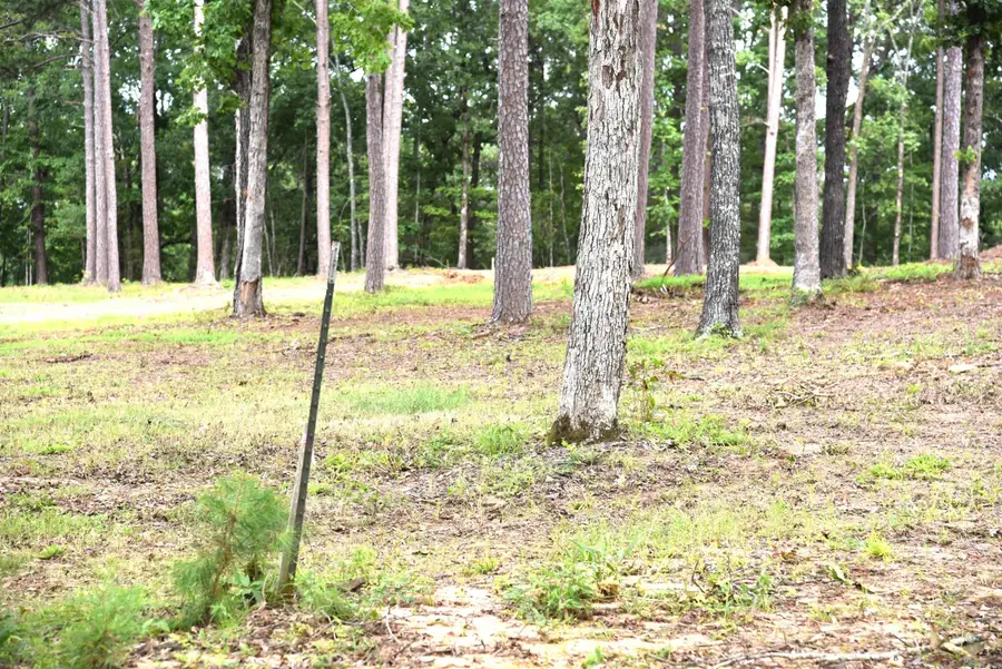 Tract 10 Sunnyside Of The Bay, Fairfield Bay, AR 72088 - #3