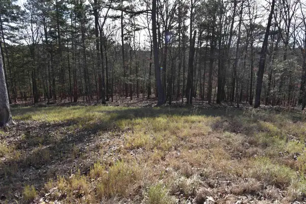 Tract 12 Sunnyside Of The Bay, Fairfield Bay, AR 72088