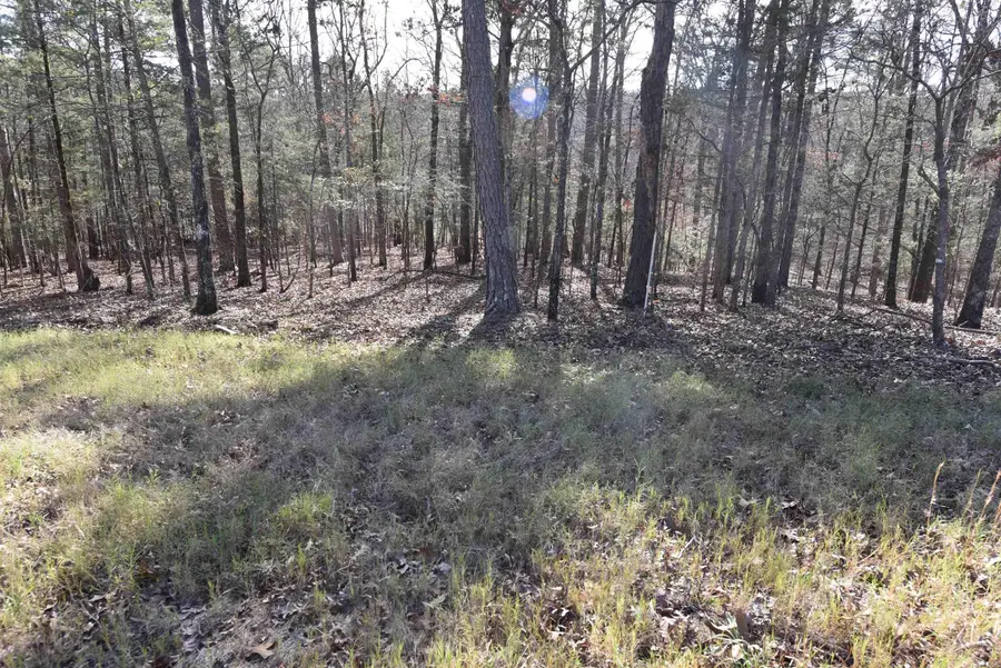 Tract 12 Sunnyside Of The Bay, Fairfield Bay, AR 72088 - #2