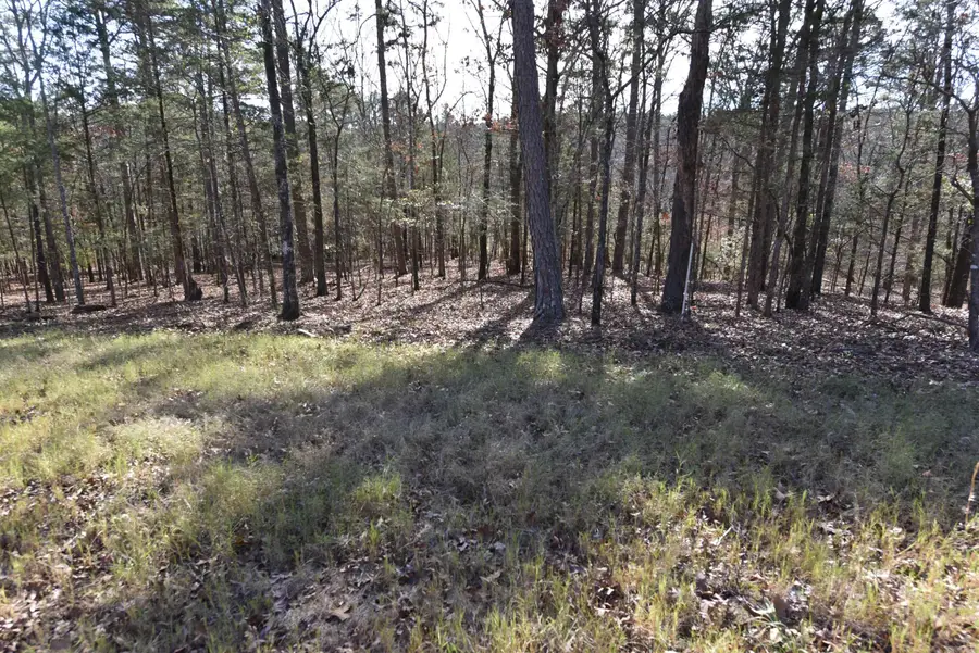 Tract 12 Sunnyside Of The Bay, Fairfield Bay, AR 72088 - #3
