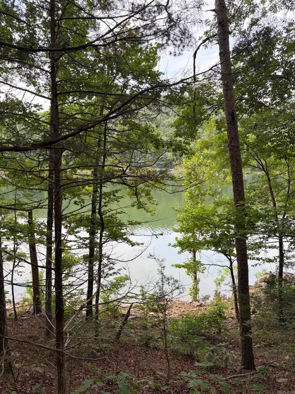 Bear Mountain Rd., Prim, AR 72130