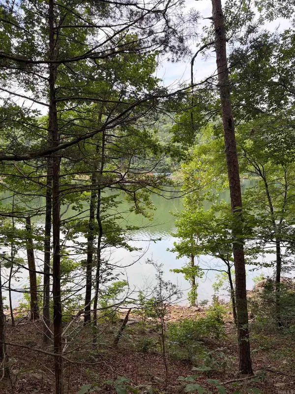 Bear Mountain Rd., Prim, AR 72130