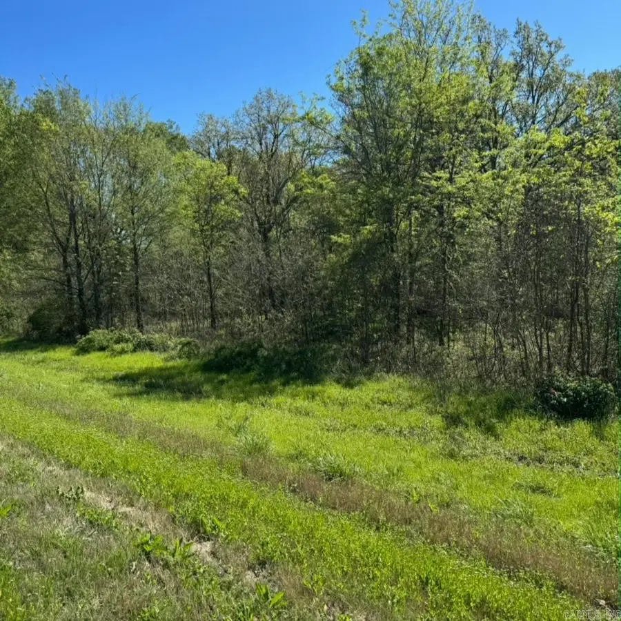 1630 Hwy 67 Highway, Corning, AR 72422 - #2