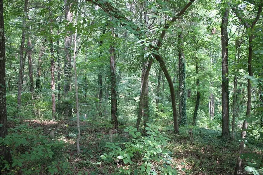 Lot 42 & 43 Craigwood Circle, Russellville, AR 72801 - #3