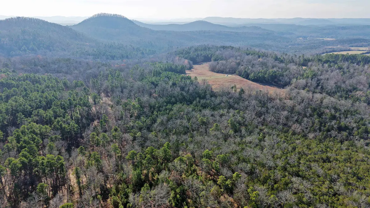 196 Gorby Road, Calico Rock, AR 72519 - #1