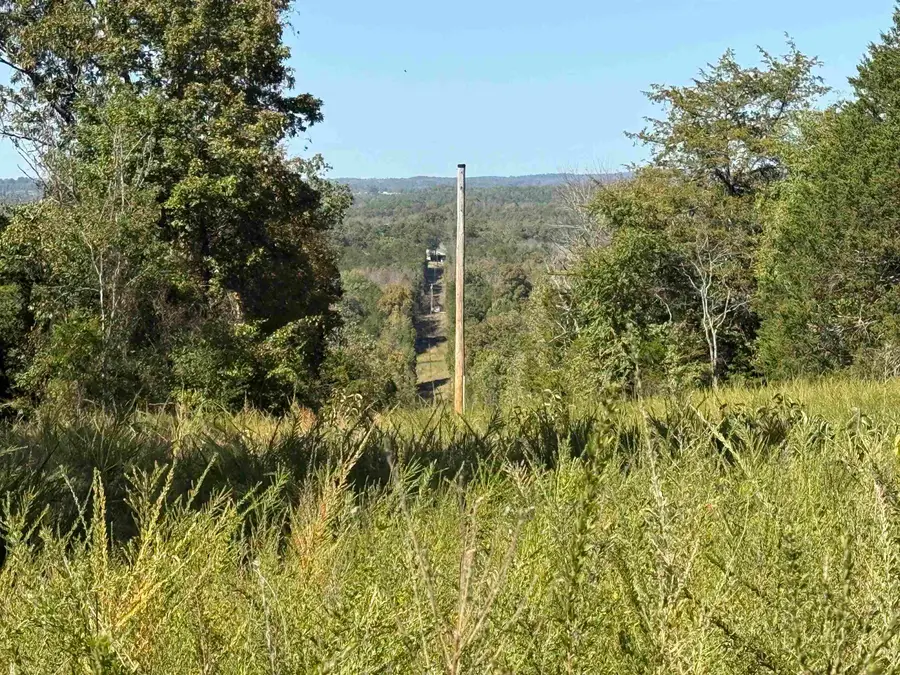 196 Gorby Road, Calico Rock, AR 72519 - #2