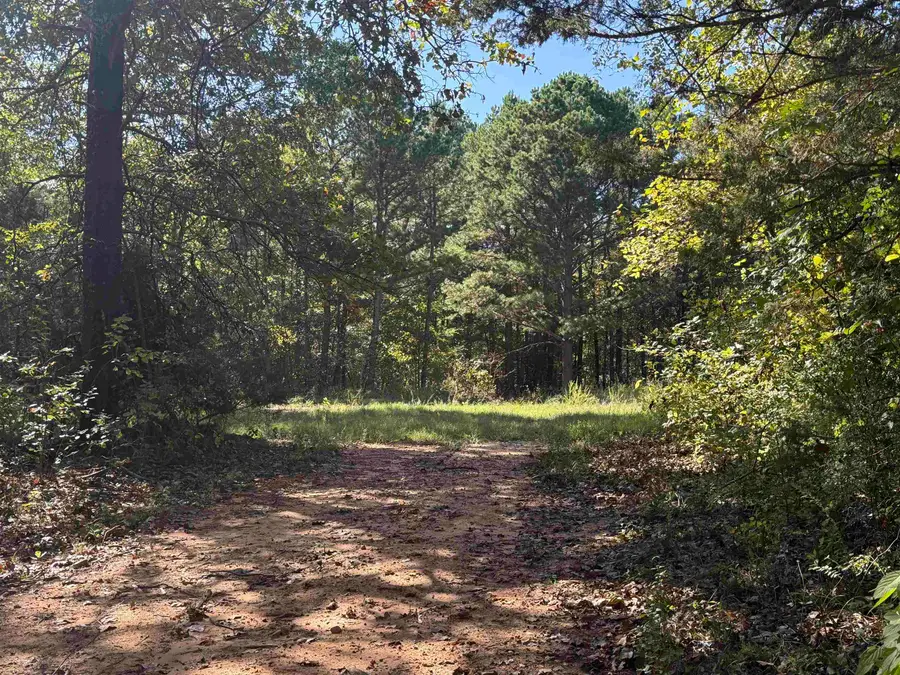 196 Gorby Road, Calico Rock, AR 72519 - #3