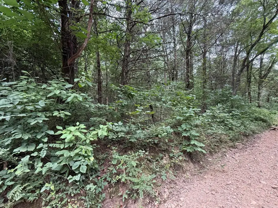 000 Lindsey Hill Lane, Mountain View, AR 72560 - #3