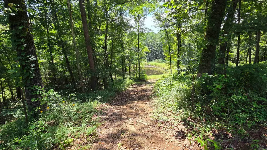 5217 Burnt Rigde Roads, Shirley, AR 72153 - #3