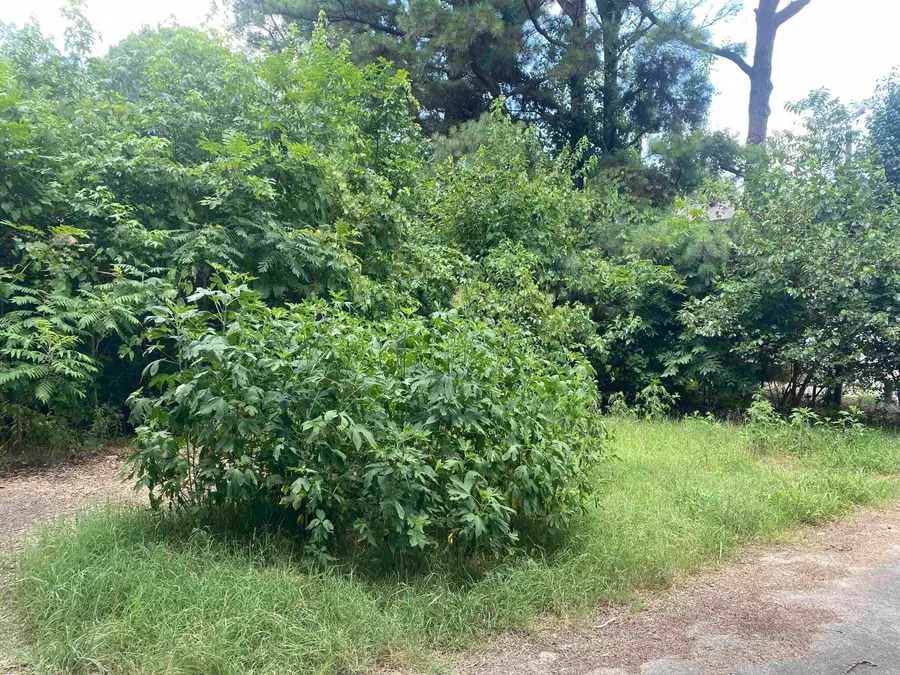 Address Withheld By Seller, Paragould, AR 72450 - #2
