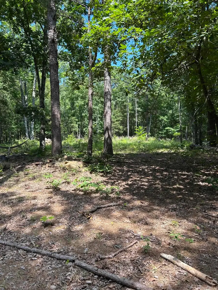 618 Keystone Road, Shirley, AR 72153 - #2