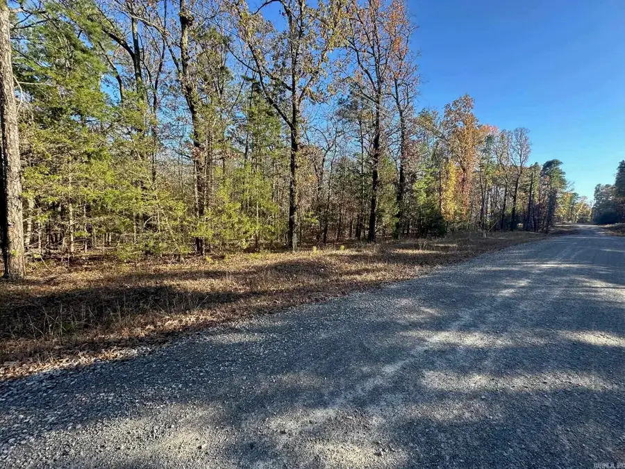 65 Jimmerson Road, Higden, AR 72067 - #2