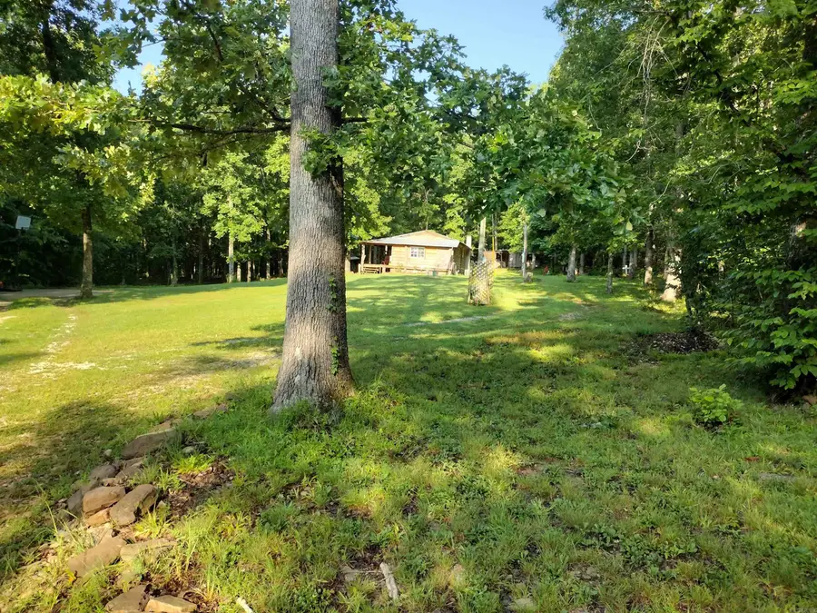 531 Flat Rock Rd, Mountain View, AR 72560 - #3