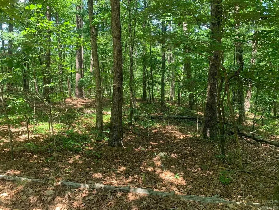 20 Montijo Way, Hot Springs Village, AR 71909 - #2