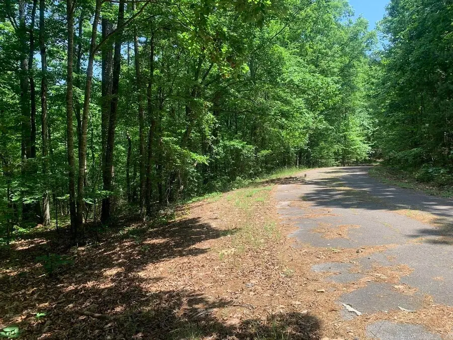 20 Montijo Way, Hot Springs Village, AR 71909 - #3