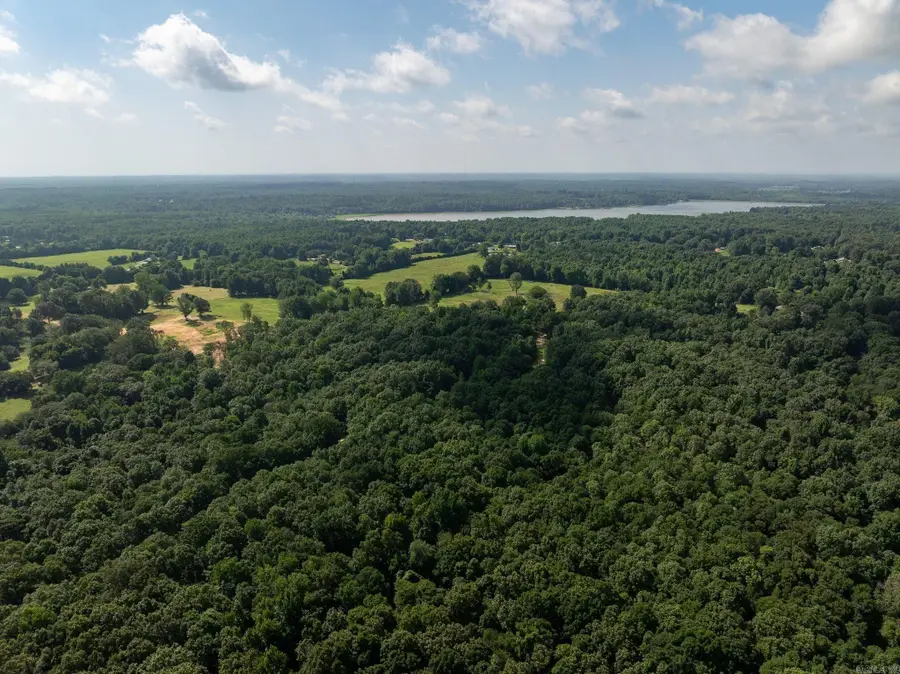 TBD Greene 324 Road, Bono, AR 72416 - #2
