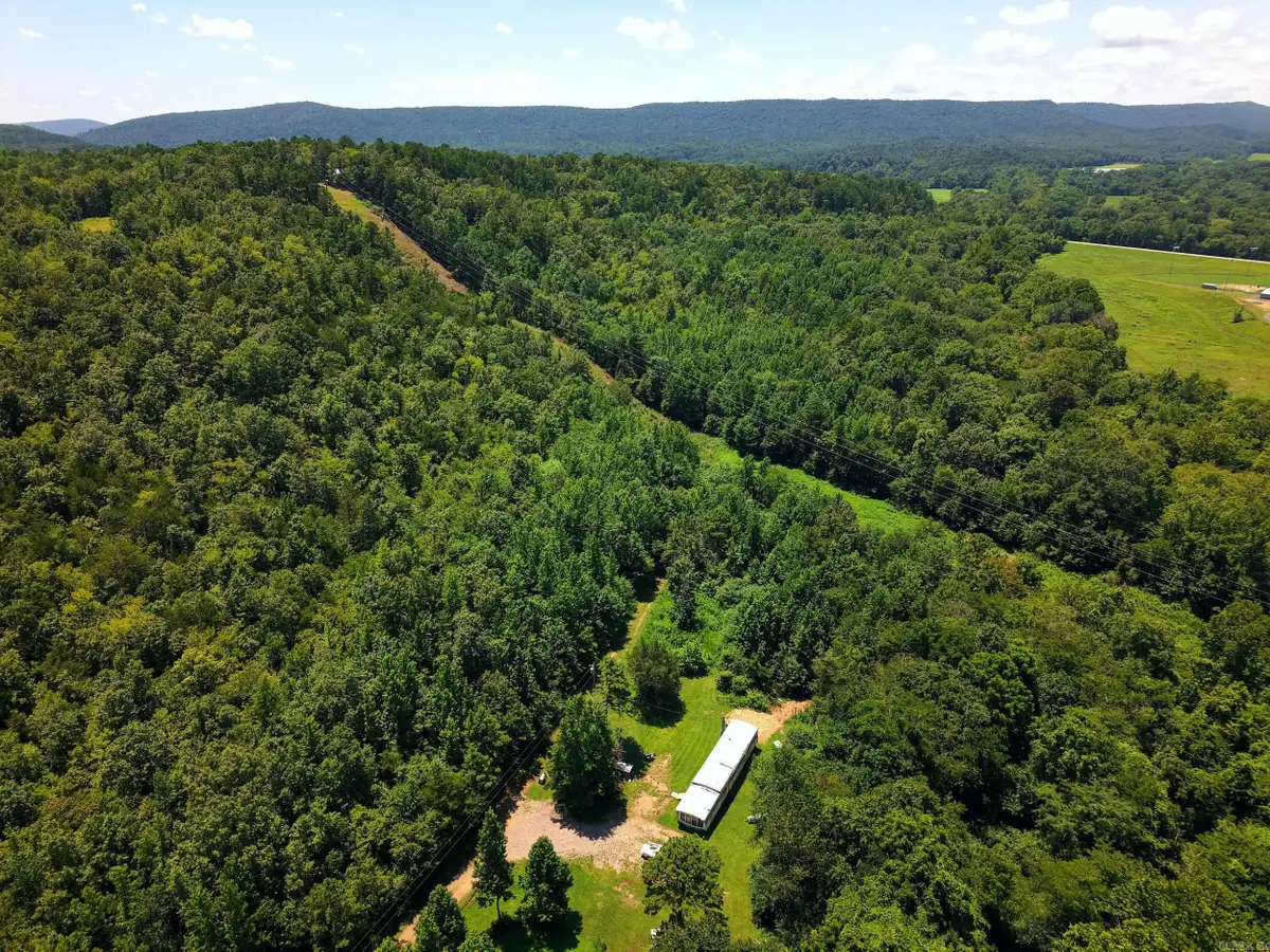 184 & 160 Peaceful Place, Caddo Gap, AR 71935 - #1