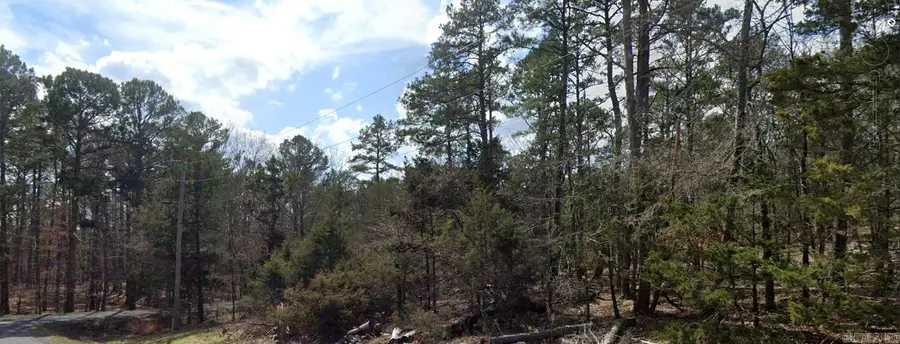 Lot 29 Genie, Edgemont, AR 72044 - #2