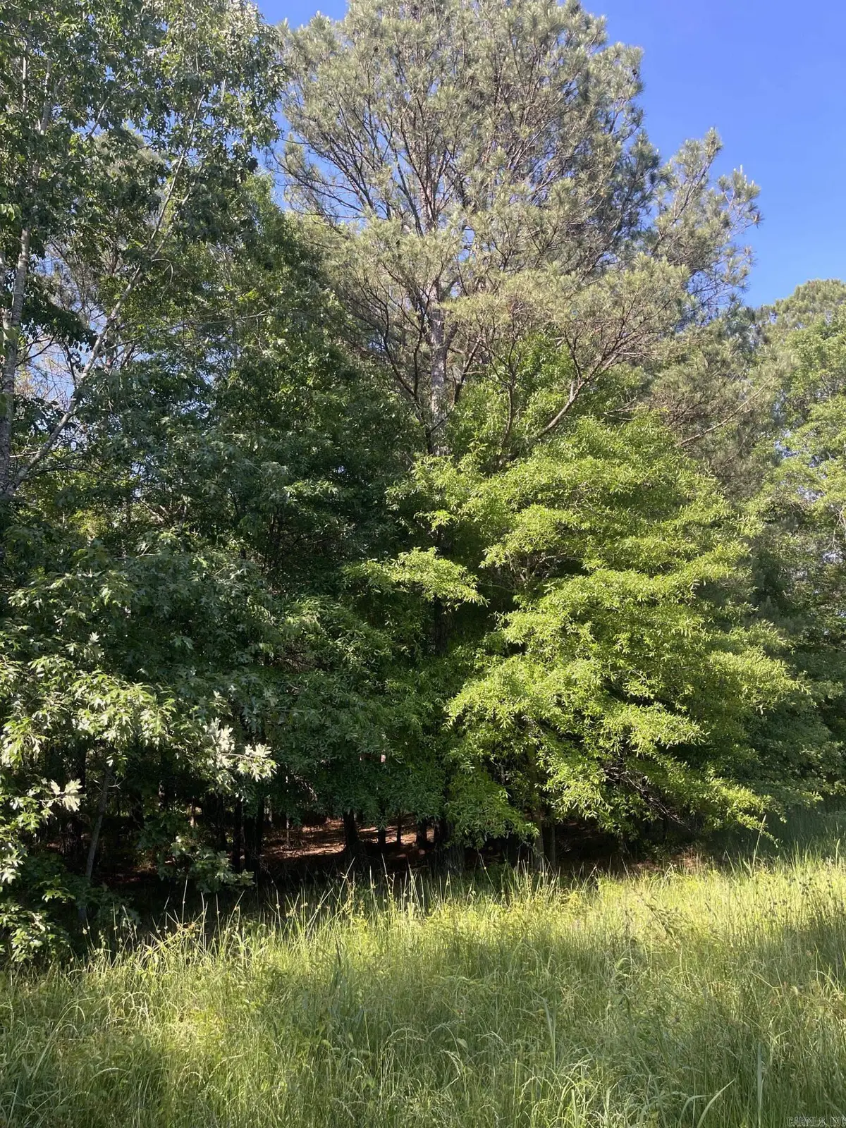 4410 Columbia Rd 36 Road, Magnolia, AR 71753 - #1