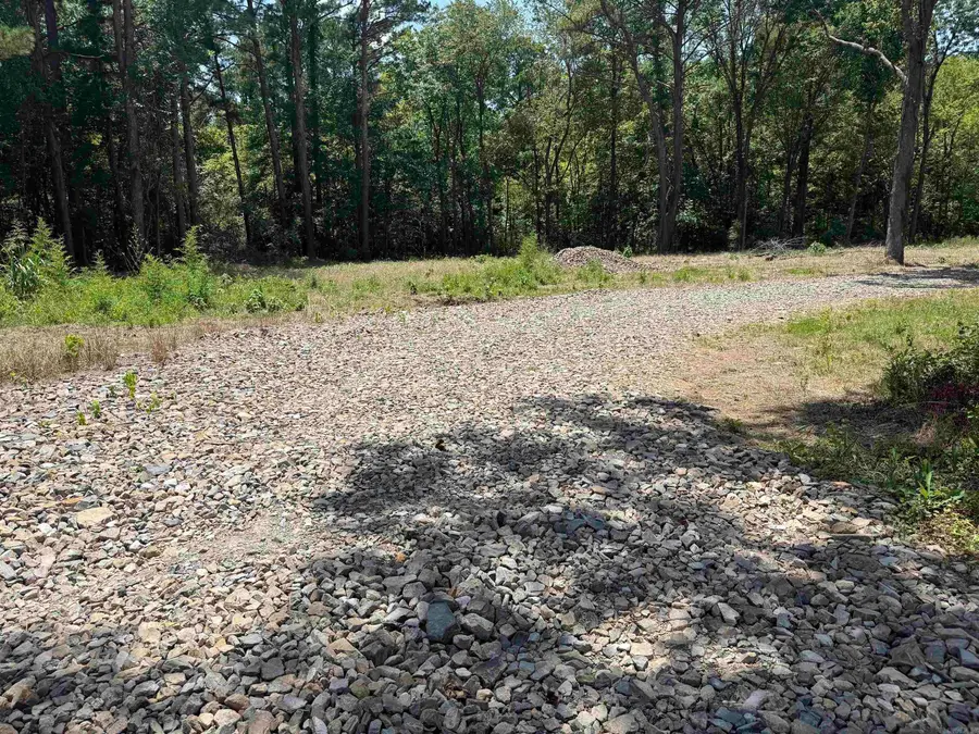00 Mountain Pine, Hot Springs, AR 71913 - #2