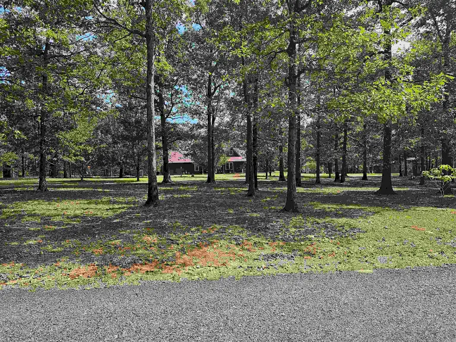 162 Dogwood Springs Ln, Mena, AR 71953 - #3