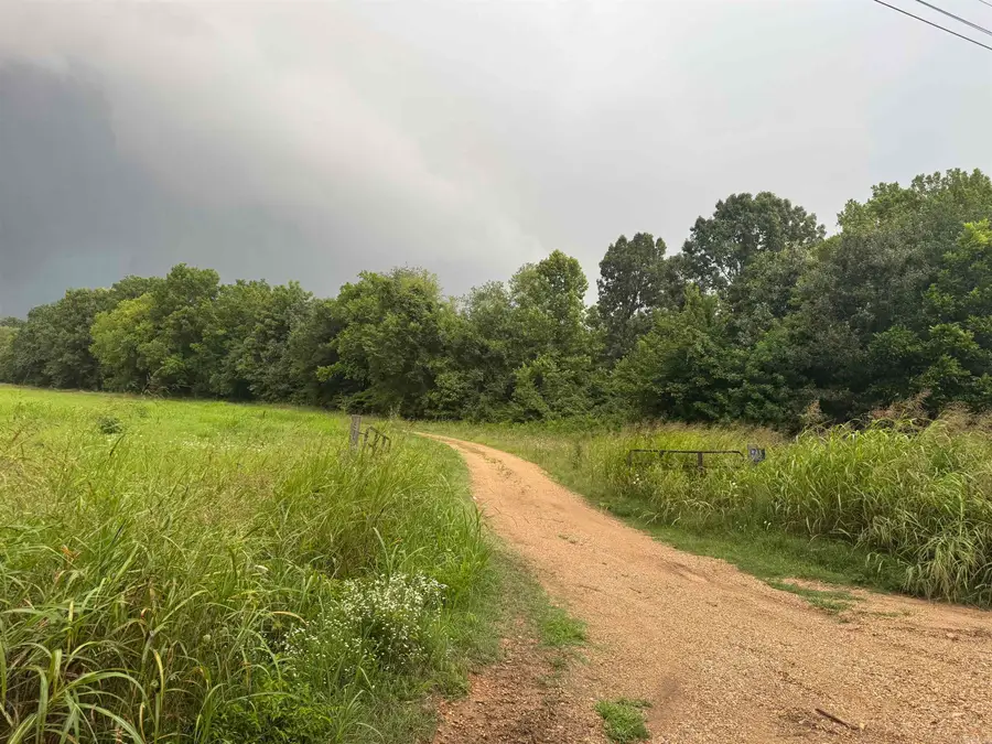 463 County Road 352, Piggott, AR 72454 - #3