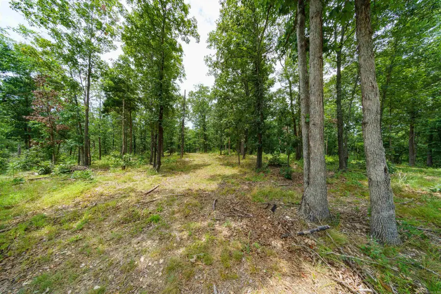 000 Antioch Road, Cave City, AR 72521 - #2