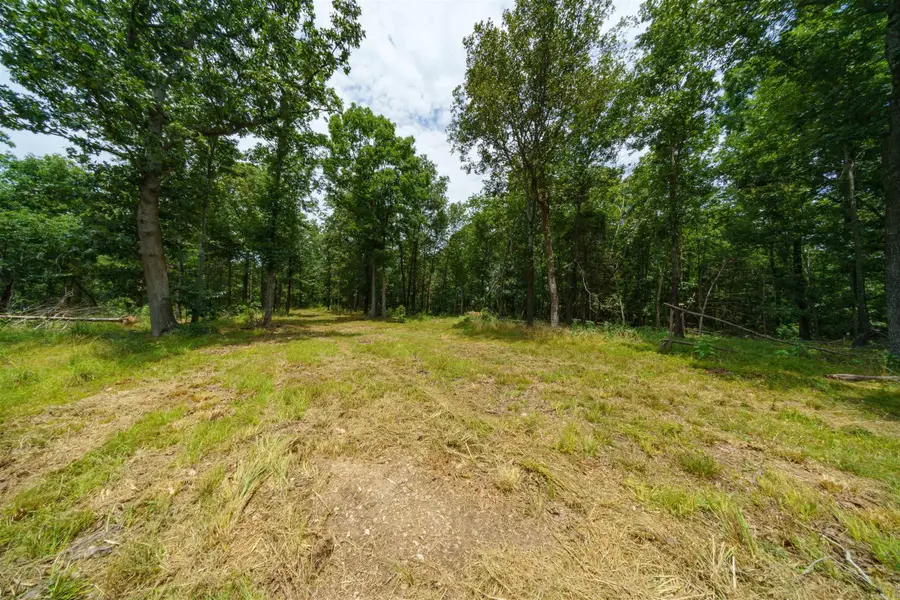 000 Antioch Road, Cave City, AR 72521 - #3