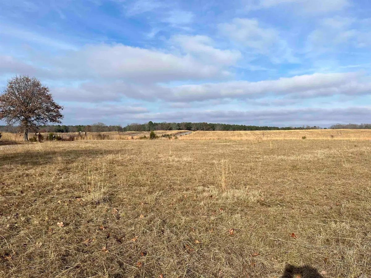 00 Hwy 124 West, Damascus, AR 72039 - #1