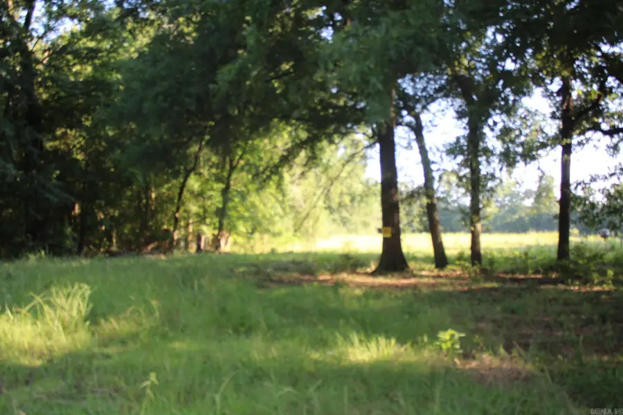 144 Hempstead 1300, Nashville, AR 71852 - #2