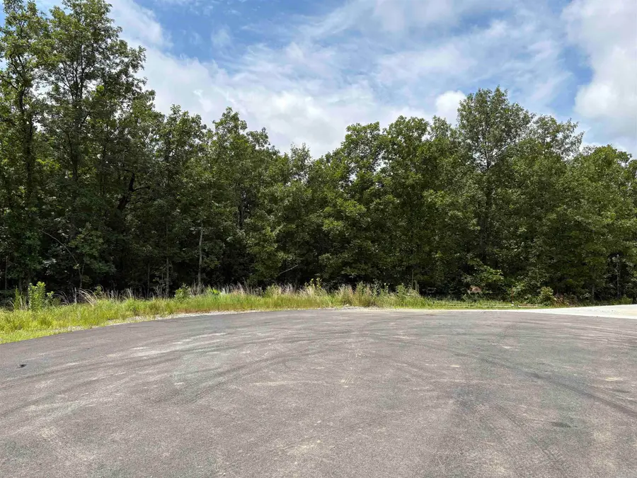 Rebecca Cove, Sherwood, AR 72120 - #2