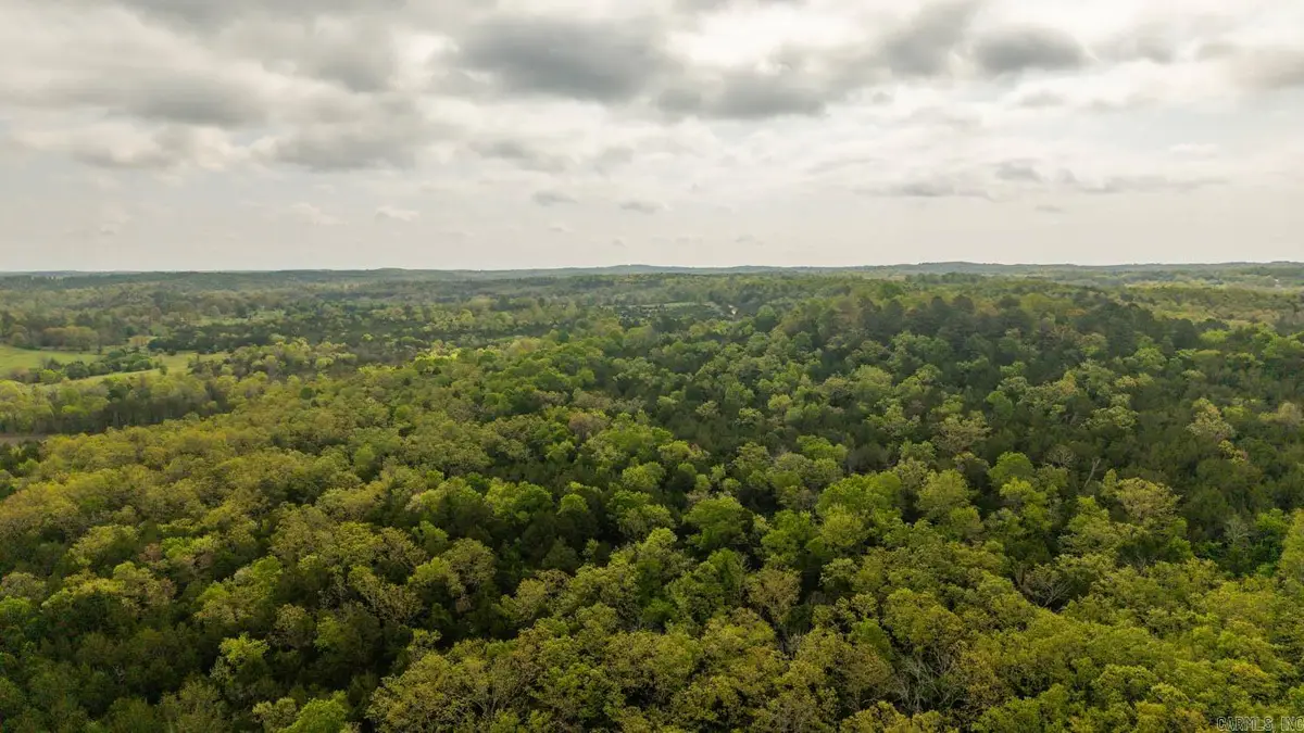 Tract 3 Little Woods Road, Elizabeth, AR 72531 - #1