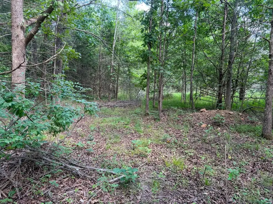501 Spoon Drive, Horseshoe Bend, AR 72512 - #3