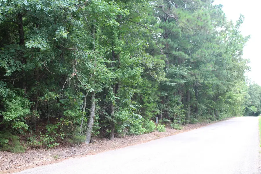 Cornbridge Road, Nashville, AR 71852 - #2