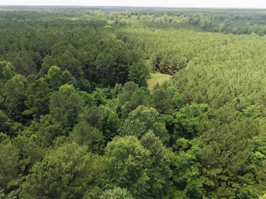Address Withheld By Seller, Junction City, AR 71749 - #2