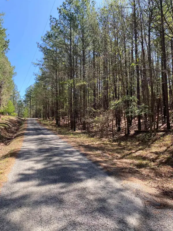 87 Woodland Springs Road, Mount Ida, AR 71957