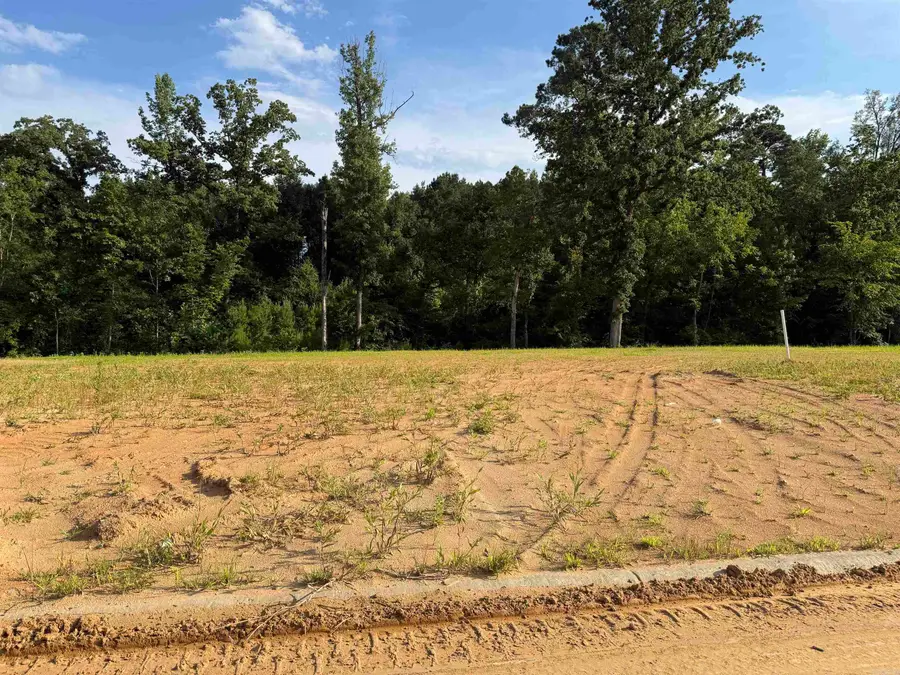161 Southridge Boulevard, Arkadelphia, AR 71923 - #3