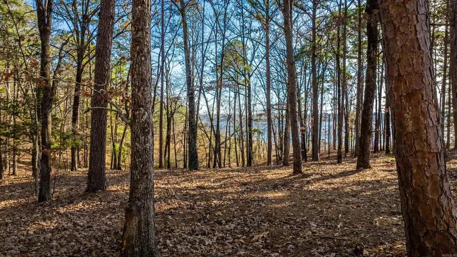 000 Miller Point (lot 45) Drive, Center Post, AR 72067 - #2