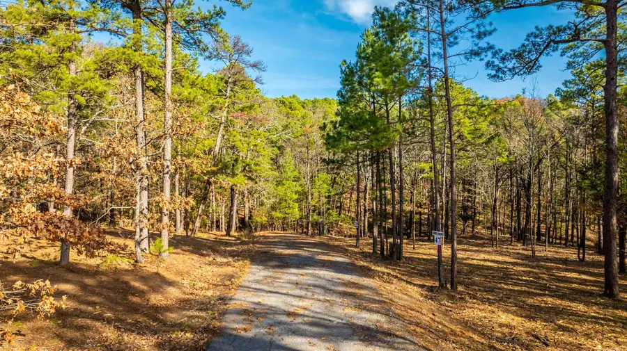 000 Miller Point (lot 45) Drive, Center Post, AR 72067 - #3