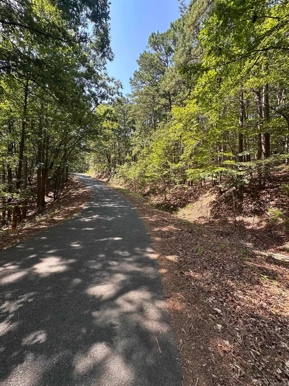 89 Gerante Way, Hot Springs Village, AR 71909 - #1
