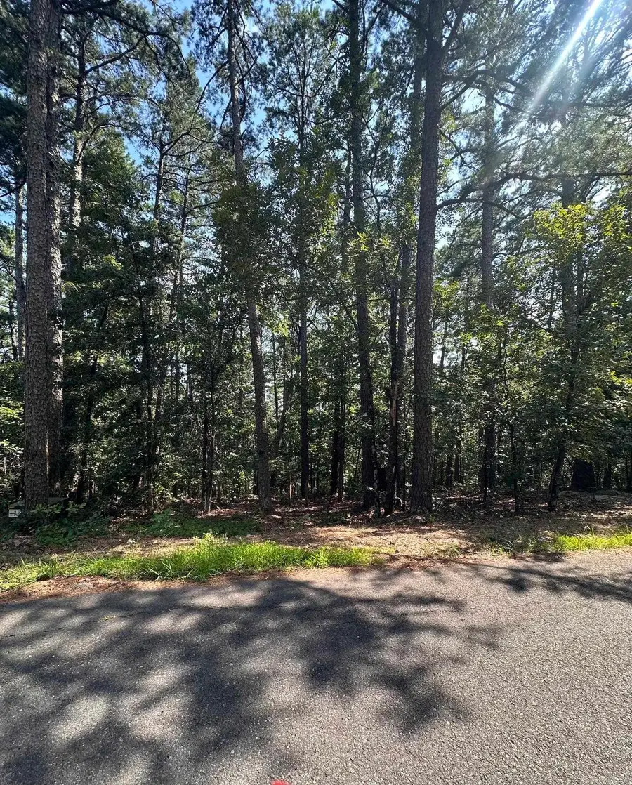37 Derecho Way, Hot Springs Village, AR 71909 - #3