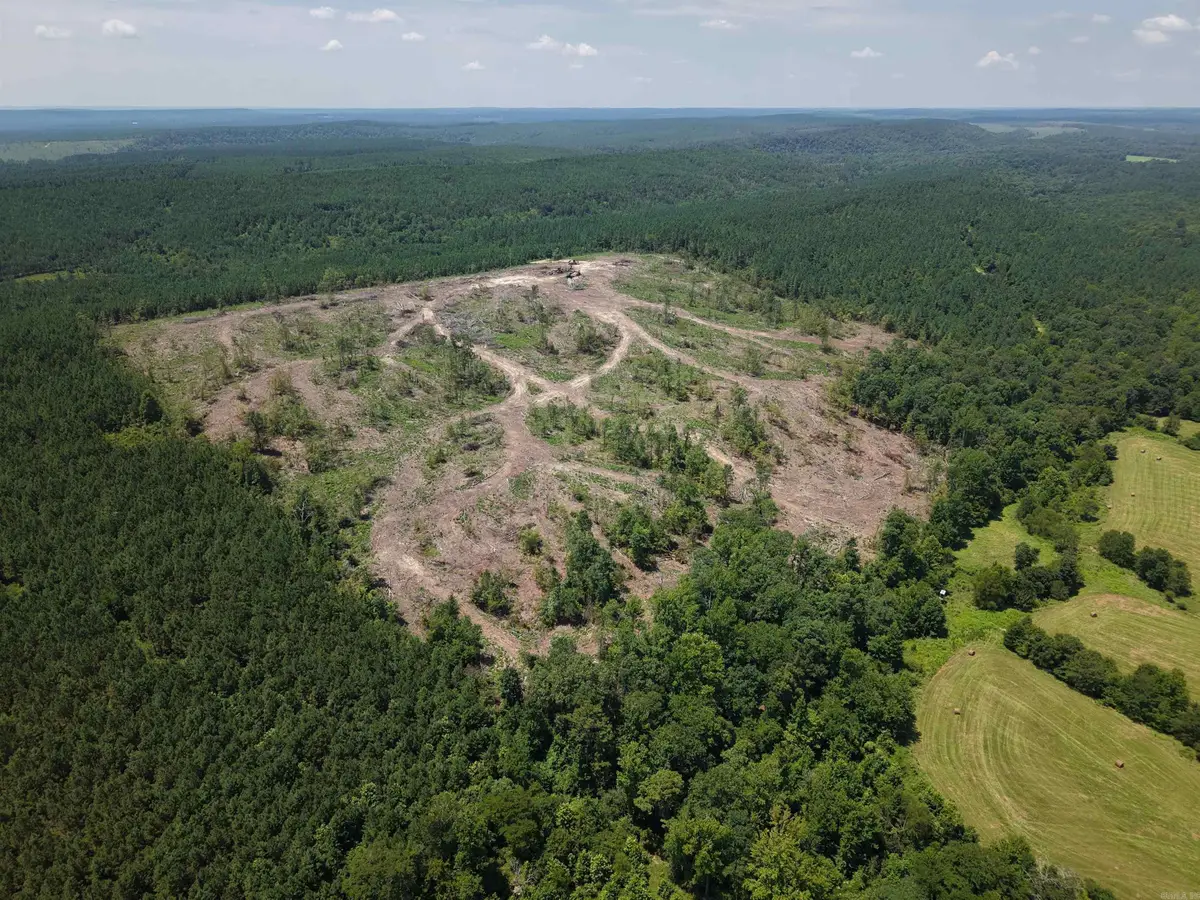 40 Acres W376, Langley, AR 71952 - #1