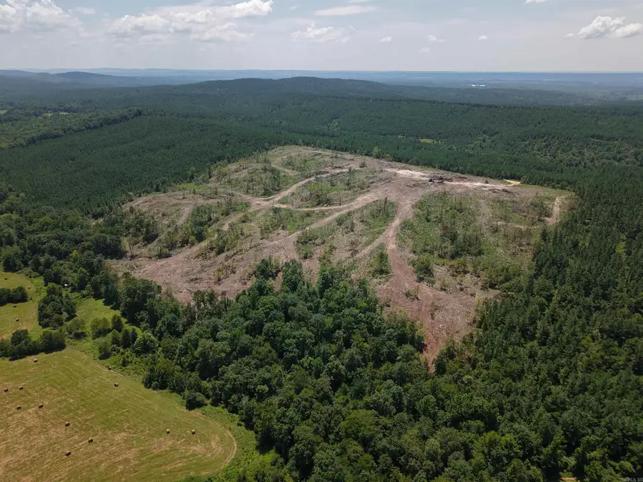 40 Acres W376, Langley, AR 71952 - #2