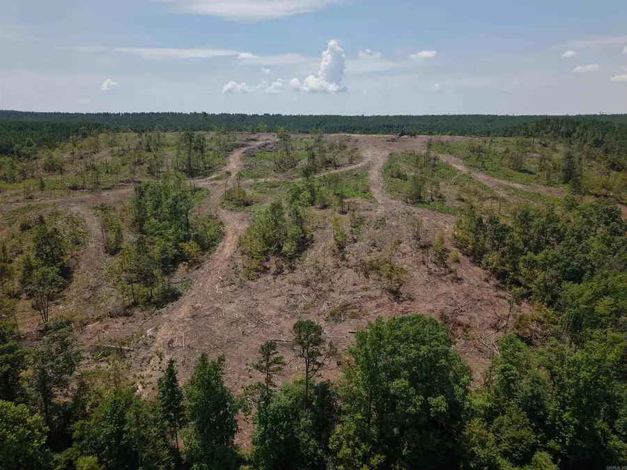 40 Acres W376, Langley, AR 71952 - #3