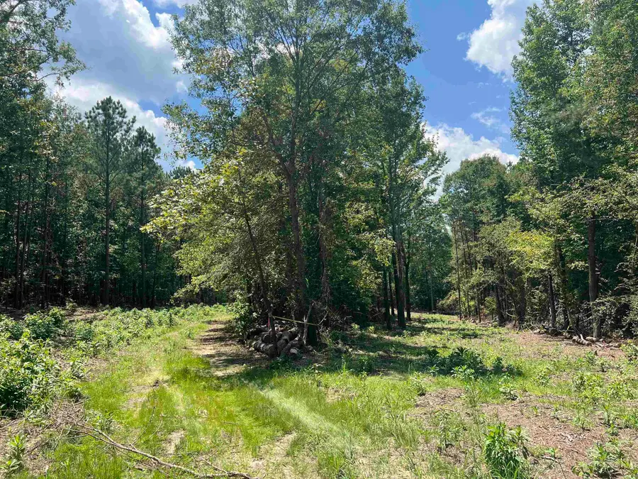 9 Casey Lane, Glenwood, AR 71943 - #2